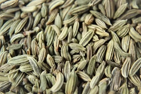 تصویر 2 از زیره اصل کوهی با رایحه طبیعی و عطر کوهستان